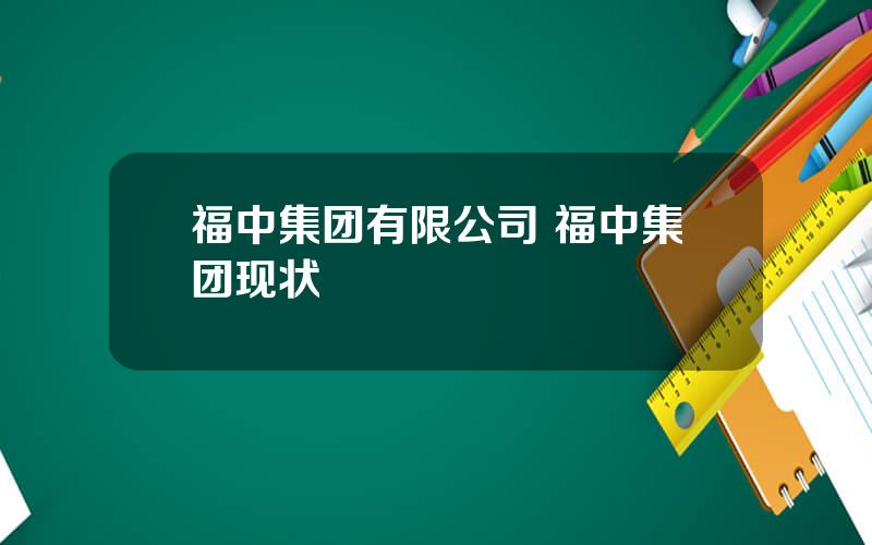 福中集团有限公司 福中集团现状